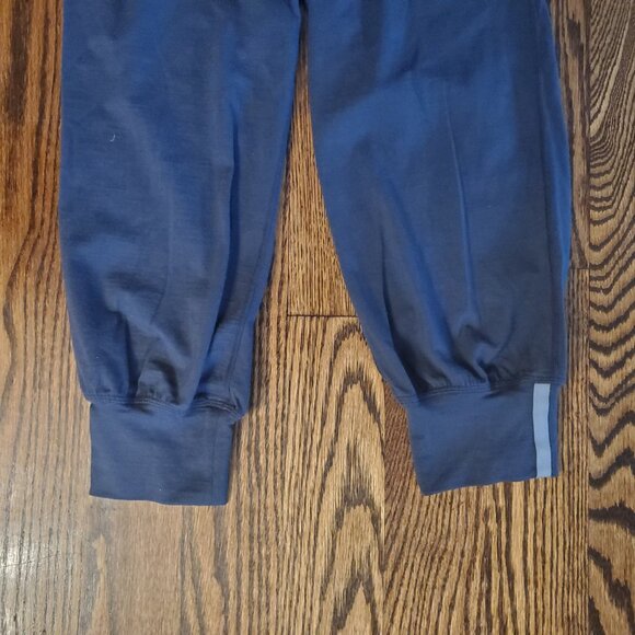 Icebreaker Spirit GT Capri Pants (Women's XS) - Picture 4 of 8